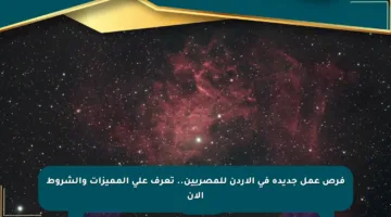 فرص عمل جديدة في الأردن للمصريين.. تعرف على المميزات والشروط الآن